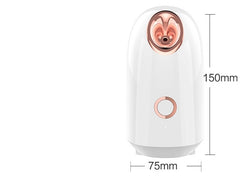 Steam Facial Spray Hydration Apparatus